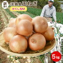 淡路島産玉ねぎ#かくし玉5K Mサイズ#