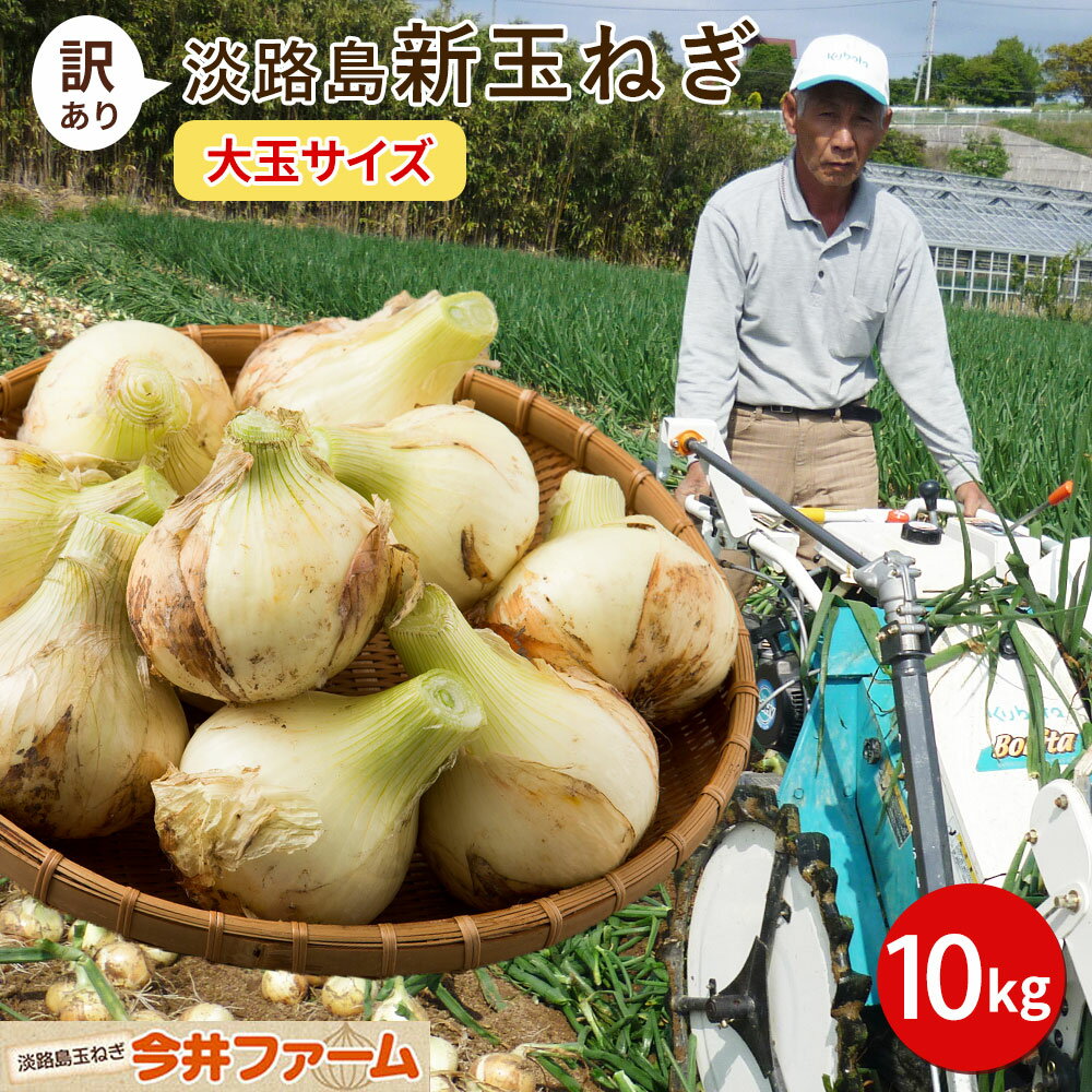 【送料無料】淡路島新玉ねぎ【訳あり大玉サイズ】10キロ☆ 淡路島 玉ねぎ たまねぎ タマネギ 玉葱 淡路 ＃大玉たまねぎ10K＃ たまねぎ 10kg 送料無料 新たまねぎ 新玉葱 新玉ねぎ 新玉