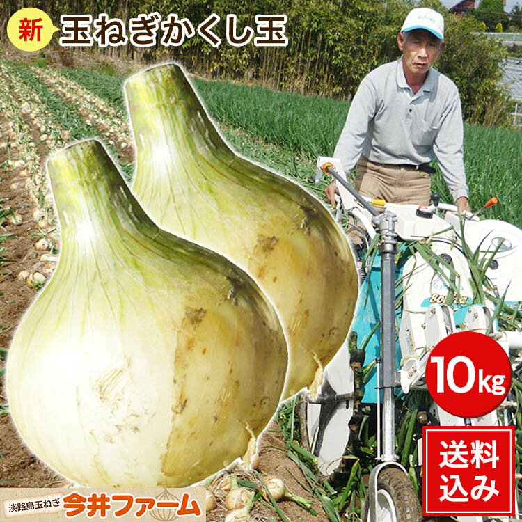 淡路島産新玉ねぎ【訳あり　新玉ねぎ　10kg】東中青果　新玉 玉ねぎ 新鮮 玉葱 タマネギ たまねぎ 甘い 訳あり 限定品 絶品玉ねぎ ブランド玉ねぎ　うずしお新玉ねぎ