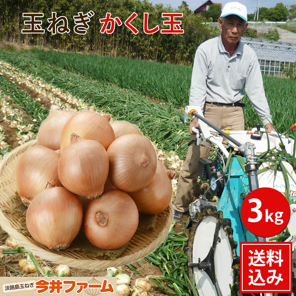 【送料無料】淡路島たまねぎかくし