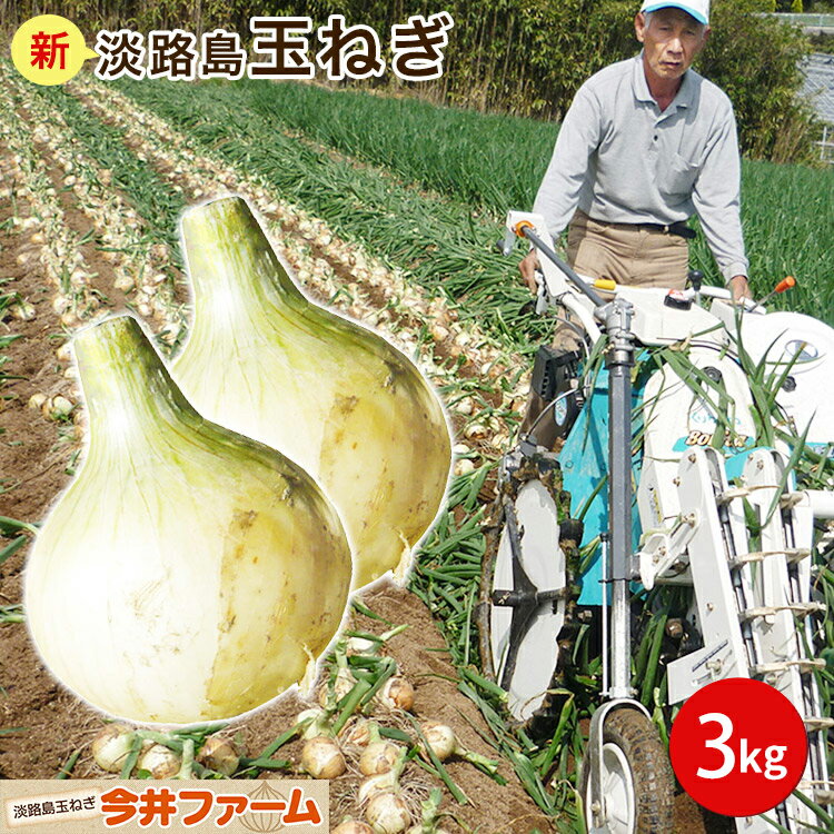 淡路島玉ねぎ3キロ 【タマネギ】【たまねぎ】＃淡路たまねぎ3kg＃ 淡路島 玉ねぎ たまねぎ タマネギ 玉葱 新たまねぎ…