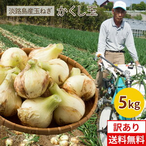 淡路島たまねぎかくし玉【訳あり】5kg ＃かくし玉訳あり5K＃ 淡路島 玉ねぎ たまねぎ 玉葱 新たまねぎ 新玉葱 新玉ねぎ 新玉