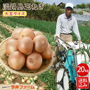 【送料無料】 ＃淡路島たまねぎ大玉20K＃ 淡路島 玉ねぎ 玉葱 たまねぎ タマネギ