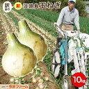 【送料無料】淡路島たまねぎ【訳あり】10キロ☆ サイズ・個数...