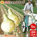 【送料無料】#特選 淡路島新玉ねぎ 5キロ#たまねぎ たまね...