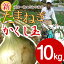 淡路島産新たまねぎ #かくし玉10キロ#【5キロ×2】玉ねぎ 玉ネギ タマネギ
