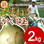 【送料無料】淡路島産新たまねぎ#かくし玉2K#