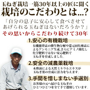 淡路島新たまねぎかくし玉【訳あり】5kg #かくし玉訳あり5K#たまねぎ