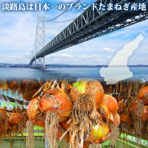 淡路島新たまねぎかくし玉【訳あり】5kg #かくし玉訳あり5K#たまねぎ