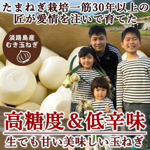 たまねぎ ムキ玉ねぎ 10kg 剥き玉ねぎの為ゴミが出ず便利です。＃むき玉10K＃ 淡路島 玉ねぎ 送料無料 10kg タマネギ 玉葱 オニオン おまかせ サイズ 美味しい 甘い 野菜 皮と芯をとってるからすぐ調理！ かくし玉
