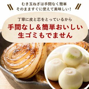 たまねぎ ムキ玉ねぎ 10kg 剥き玉ねぎの為ゴミが出ず便利です。＃むき玉10K＃ 淡路島 玉ねぎ 送料無料 10kg タマネギ 玉葱 オニオン おまかせ サイズ 美味しい 甘い 野菜 皮と芯をとってるからすぐ調理！ かくし玉