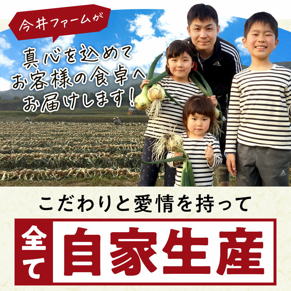 豊橋産　ディル500g（業務用）