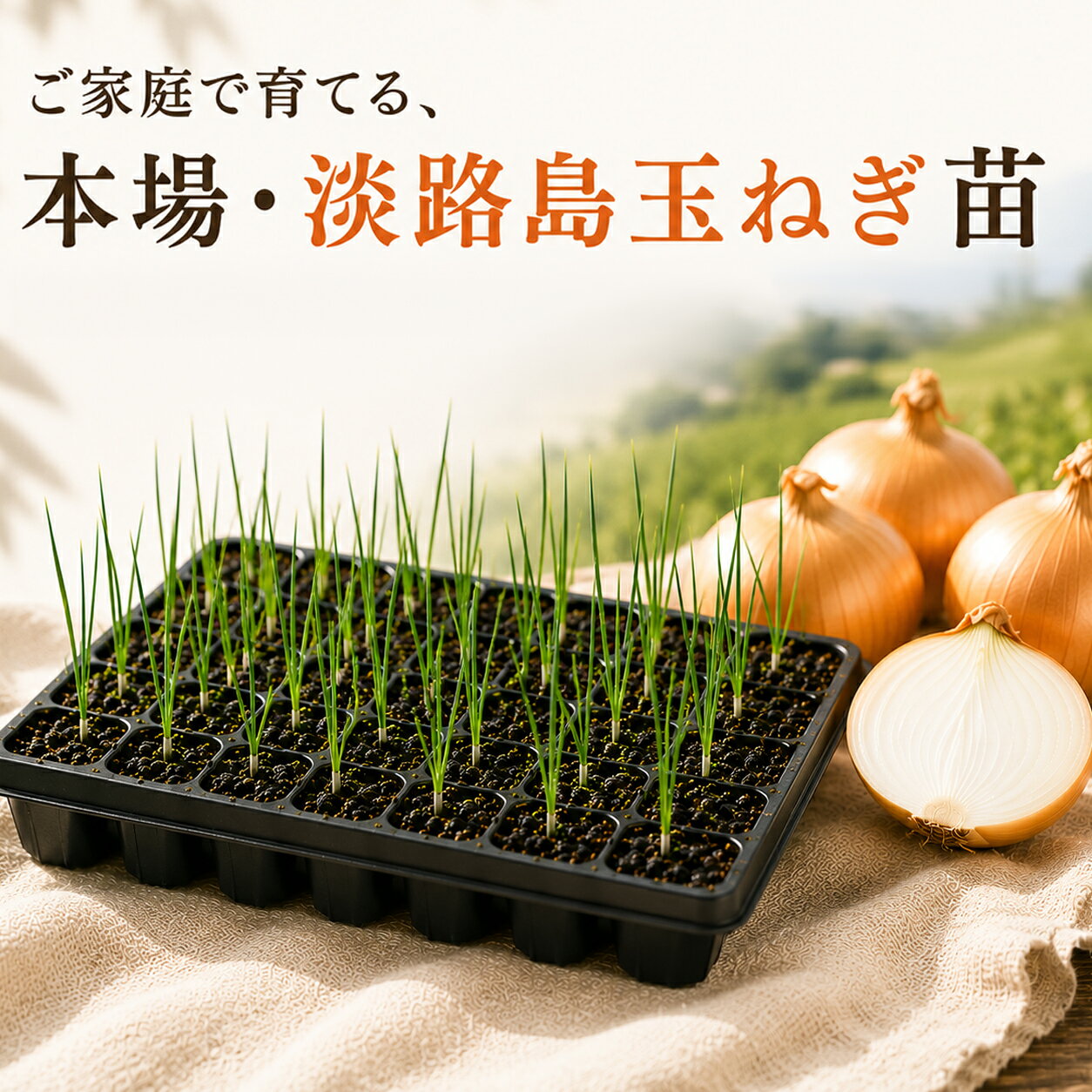 楽天市場】新玉ねぎ 七宝の通販