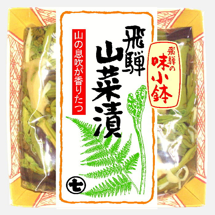 【お洒落な小皿に入ったちょっとイイ味】飛騨の味小鉢　山菜漬