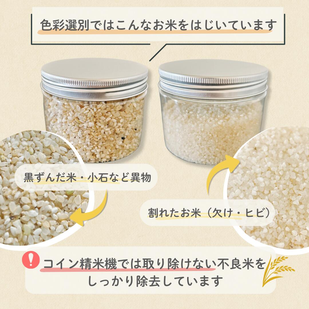 【3980円以上で送料無料※一部地域除く】令和7年産 無洗米 コシヒカリ 1合（150g）...