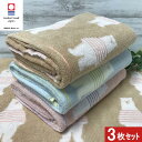 今治タオル バスタオル 3枚組 かわいい ボーダーベアー柄 60x120cm 可愛い 送料無料 日本製 保育園 幼稚園 お昼寝 お昼寝ケット 今治バスタオル 入...