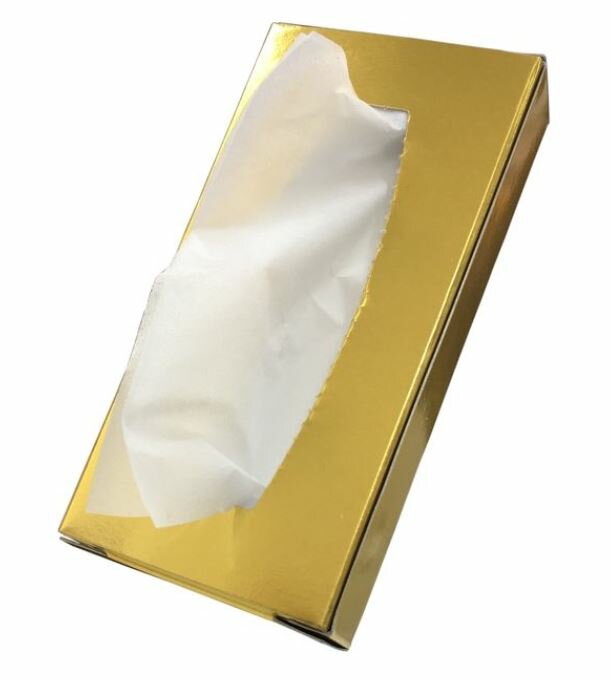 �ߥ˥ߥ˥�����ɥƥ��å��塡10�ȡ�1P��400��