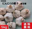 【種球】にんにく　種子　5kg　嘉定ニンニク　タネ球根　通販　家庭料理に欠かせない　にんにくレシピ　家庭菜園　種子　ニンニク　通販　にんにく種販売　にんにく　栽培　送料無料　国内産　食用OK　南九州にんにく