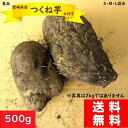 つくね芋 とろろ 500g 送料無料 土付き ねばりの強い 山芋 自然薯 宮崎県産 ねばねば成分ムチ ...