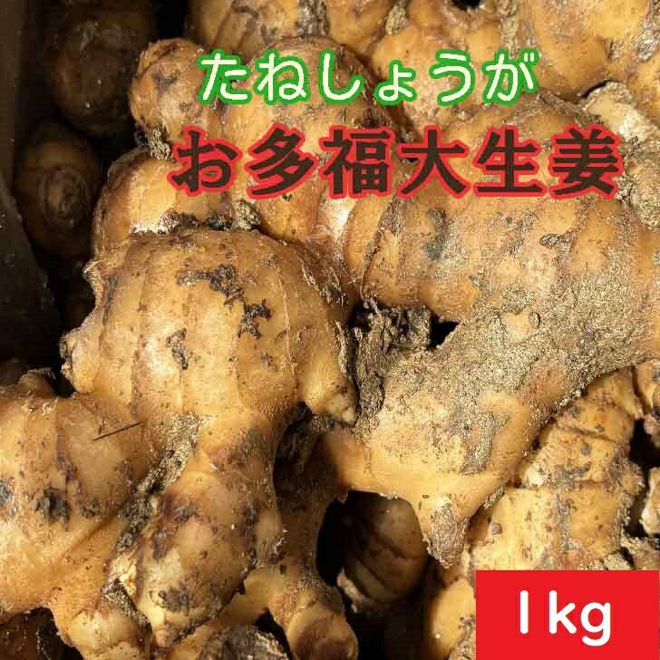 楽天市場】種生姜 無農薬の通販 楽天市場】種生姜 無農薬の通販