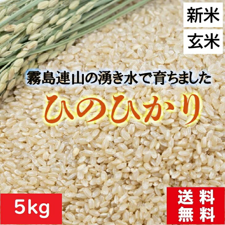【令和7年度産】新米5kg 送料無料 ひのひかり 玄米 霧島連山の湧水で育ちました!天然水ミネラルウォーター「いろはす」の採水地です 特A 激安価格 生活応援 国内産 安い美味しい米!2025年産 全粒穀物 マインド食で認知症予防 ダイエットにも!