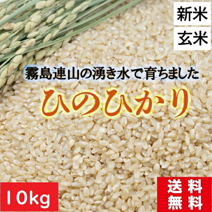 【令和7年度産】新米10kg 送料無料 ひのひかり 玄米 霧島連山の湧水で育ちました!天然水ミネラルウォーター「いろはす」の採水地です 特A 激安価格 生活応援 国内産 安い美味しい米!2025年産 全粒穀物 マインド食で認知症予防 ダイエットにも!