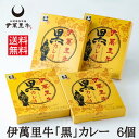 伊萬里牛 黒カレー 6個 セット 送料無料 伊万里牛 【和牛】 カレー ギフト 箱 伊万里牛100% こだわりのスパイス レトルト のし対応 - まつお食肉卸株式会社