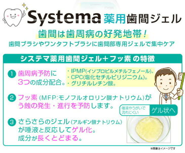 ライオン システマ 薬用歯間ジェル 20mL 医薬部外品[メール便対応商品]歯科専売 歯間 歯の隙間 歯周病 プラーク プラークコントロール 歯間ジェル 歯間専用 ライオン デント Systema システマ フッ素