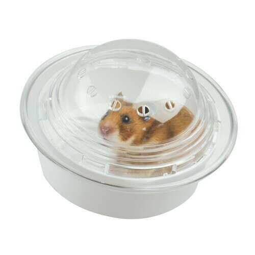 �ϥॹ�����ѥ��ץ��å� ������󥳡� ���� SANKO �ϥॹ���� �ѥ��� ���塼�� �Ĥʤ��� ���祤��� ��� ��³