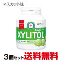 3個セット 歯科専用 味長続き キシリトールガム ボトルタイプ 90粒 マスカット歯科専売 ガム オーラルケア ロッテ キシリトール 味が長続きするタイプ 砂糖...