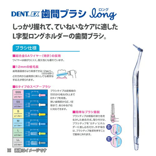 ライオン DENT.EX 歯間ブラシ long 1セット歯科専売 歯科用 歯間ブラシ 歯間 歯 すき間 ブラシ ロング 歯と歯の間 LL L M S SS SSS 3S