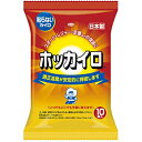 ホッカイロ 貼らないタイプ レギュラー 10個入り温かい 温める 保温 温熱 はらない カイロ 使い捨て 興和 コーワ