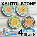 定番4点セット キシリトールストーン XYLITOL STONE