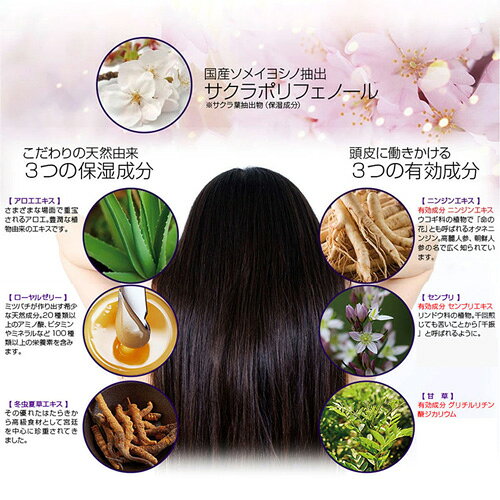 薬用育毛剤 夢美髪 ゆめみはつ 医薬部外品薬用育毛剤 グリチルリチン酸ジカリウム、センブリエキス、ニンジンエキス 頭皮 imaster-11050836 家庭の達人 サンプル画像3