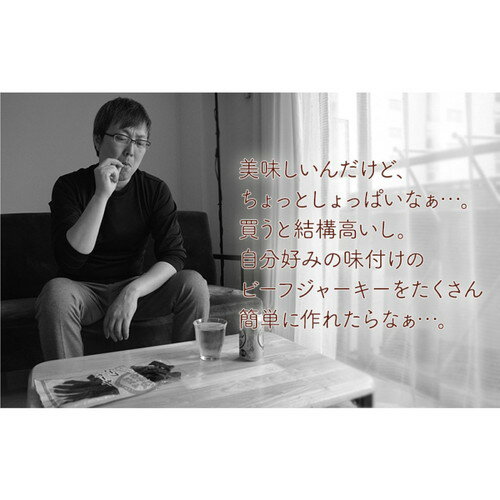 サンコー ドライフルーツも作れる 自家製ジャーキーメーカージャーキーメーカー ドライフードメーカー ドライフルーツ 干肉 ジャーキー 家庭用 食品乾燥機