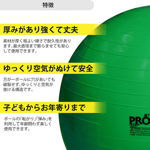 ����Х�� �������������ܡ��� ľ��65cm ���꡼��THERABAND �ȥ졼�˥󥰥Х�� �ڥȥ� ����ʡ��ޥå���