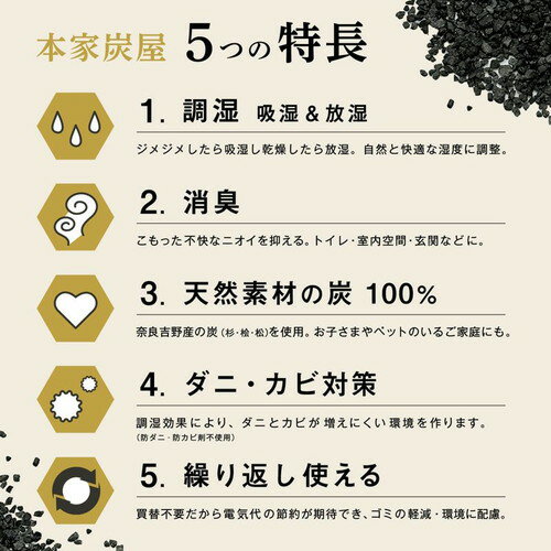 レック 調湿・消臭木炭 本家炭屋 スリムタイプ M消臭用木炭 寝室 リビング 調湿 消...