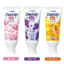 ライオン チェックアップ ジェル 60g Check-Up gel 医薬部外品ピーチ グレープ レモンティー 歯科専売 チェックアップジェル フッ素 フッ素コート オーラルケア マウス 口腔ケア デンタルケア う蝕 むし歯