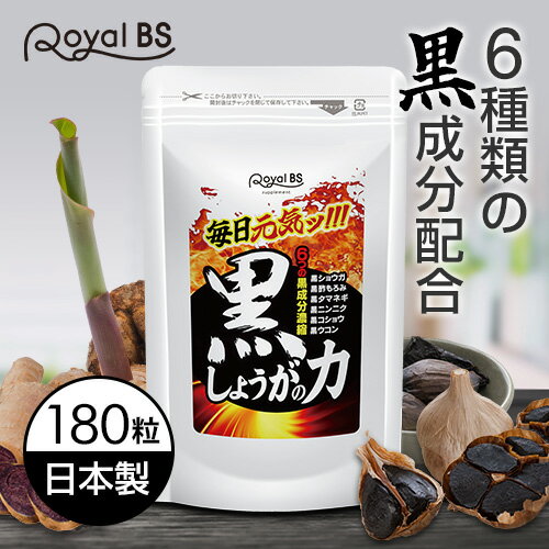 黒しょうがの力 180粒しょうが 黒ショウガ 黒生姜 生姜サプリ 黒 ニンニクサプリ 元気 黒ウコン ブラックジンジャー ダイエット時の栄養補給に サプリメント 大容量 RoyalBS 日本製