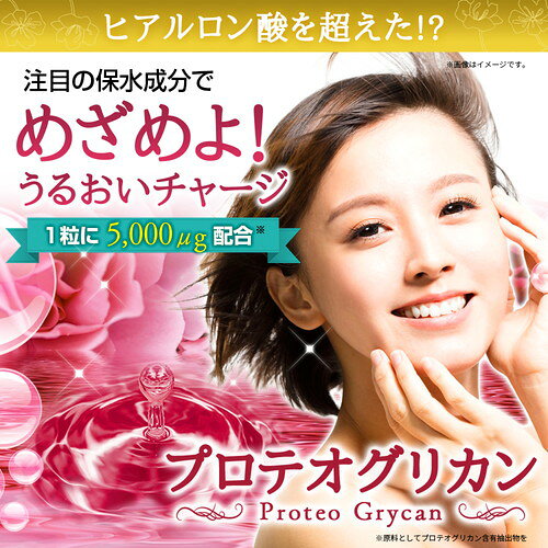 家庭の達人のプロテオグリカン まとめ買い 2個セットRoyalBS 公式 サプリ コラーゲン ヒアルロン酸 セラミド プラセンタ 健康 美容 栄養補助食品 日本製 大容量 送料無料｜アングル2