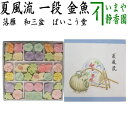 【お菓子 和菓子/干菓子】 落雁(らくがん) 和三盆糖 夏風流 一段(金魚) ばいこう堂
