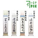 【茶器/茶道具 掛軸(掛け軸)】 一行軸 行雲流水又は紅葉舞秋風又は清風万里秋又は開門多落葉 福代洋道筆