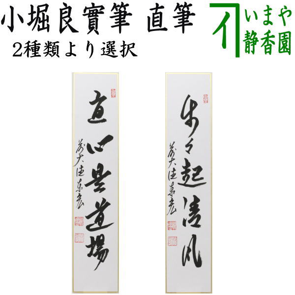 〇【茶器/茶道具 短冊】 直筆 直心是道場又は歩々起清風 松涛泰宏筆（宗潤）（まつなみたいこう）