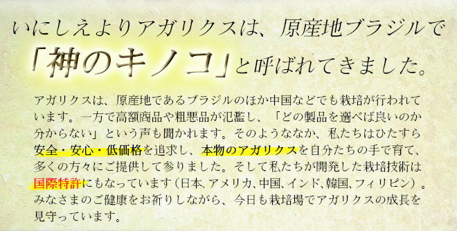 【お得な3袋セット】【アガリクス】　純国産の自社栽培アガリクスを超微粉砕し、添加物なしで粒状化した逸品「アガリクス100」アガリクス100％　90g（250mg×360粒）X 3袋　90日分 3