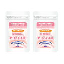 乳酸菌 ビフィズス菌 サプリメント 「乳酸菌&ビフィズス菌」2袋セット!! ラクリス-S BB536