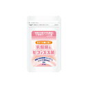 乳酸菌 ビフィズス菌 サプリメント 「乳酸菌&ビフィズス菌」 ラクリス-S BB536