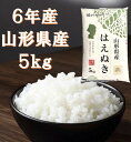 【令和6年産】米 5kg 山形県産< はえぬき > むらせライス お米 5キロ 白米 5kgx1袋 送料無料