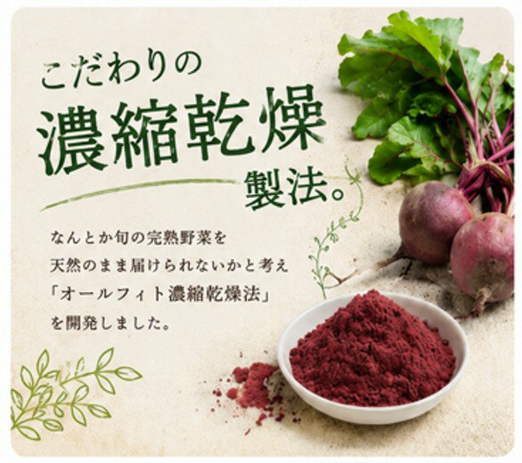 ベジタブルテック 飲む粉野菜 6つの野菜セレクション 【90粒】