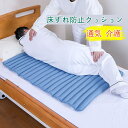 体圧分散 高齢者 体位維持 70x100cm ベットマット 床ずれ予防 大型マット 抗菌 滑り止め クッション 褥瘡予防 体位保持 床ずれ防止 体位変換 通気 介護 姿勢保持 クッション 床ずれ防止クッション 褥瘡予防改善 皮膚 血行 通気 在宅勤務 床ずれ
