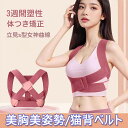 猫背ベルト レディース コルセット 美胸美姿勢 姿勢ベルト 姿勢サーポート 寄せ上げ 快適 通気性 調整可能 脱着便利 背筋サポート ベルト 女性用 肌にやさしい素材 巻き肩対応 家庭用・出掛け用 猫背から美しい姿勢へ 背中の丸まり 猫背 腰 肩甲骨サポーター(4)